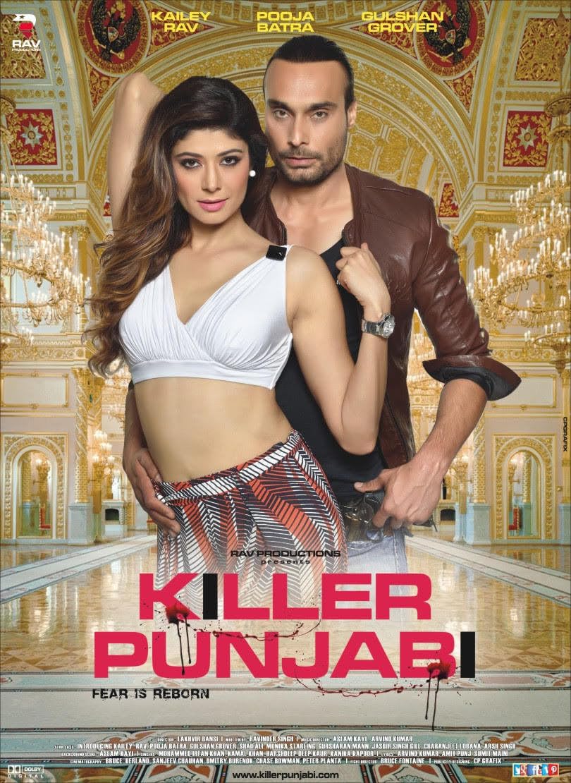 Killer Punjabi poster
